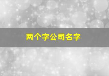 两个字公司名字