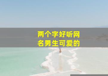 两个字好听网名男生可爱的