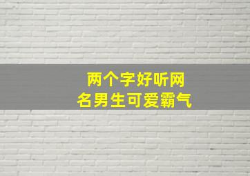 两个字好听网名男生可爱霸气