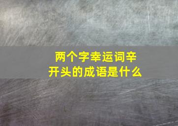 两个字幸运词辛开头的成语是什么