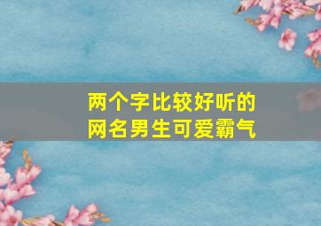 两个字比较好听的网名男生可爱霸气