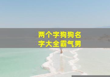 两个字狗狗名字大全霸气男