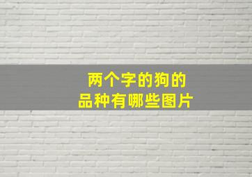 两个字的狗的品种有哪些图片