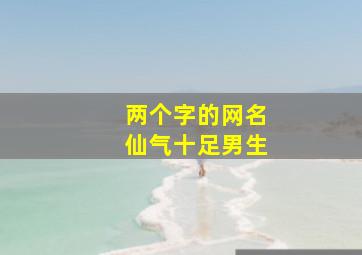 两个字的网名仙气十足男生