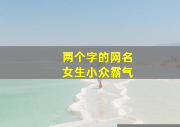 两个字的网名女生小众霸气