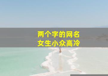 两个字的网名女生小众高冷