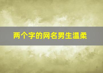 两个字的网名男生温柔