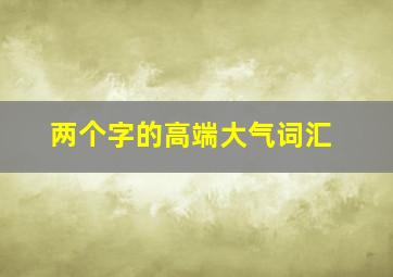 两个字的高端大气词汇