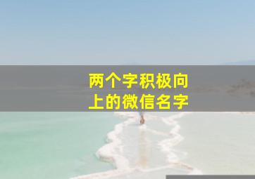 两个字积极向上的微信名字