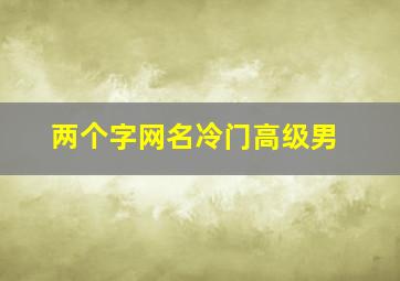 两个字网名冷门高级男