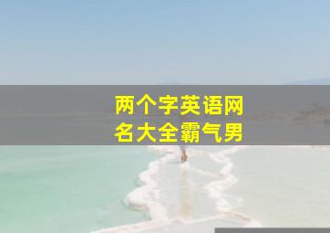 两个字英语网名大全霸气男