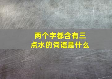 两个字都含有三点水的词语是什么