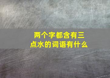 两个字都含有三点水的词语有什么