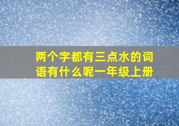 两个字都有三点水的词语有什么呢一年级上册