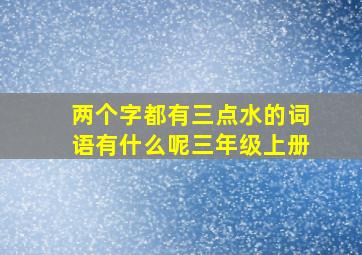 两个字都有三点水的词语有什么呢三年级上册