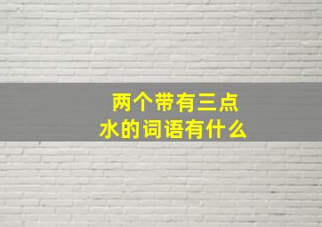 两个带有三点水的词语有什么