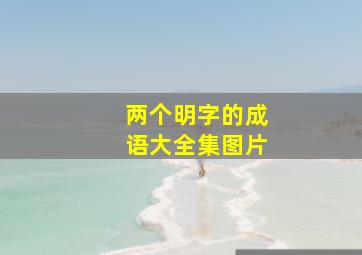 两个明字的成语大全集图片