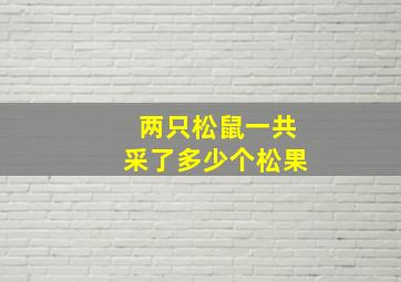 两只松鼠一共采了多少个松果