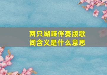 两只蝴蝶伴奏版歌词含义是什么意思