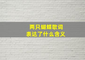 两只蝴蝶歌词表达了什么含义