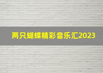 两只蝴蝶精彩音乐汇2023