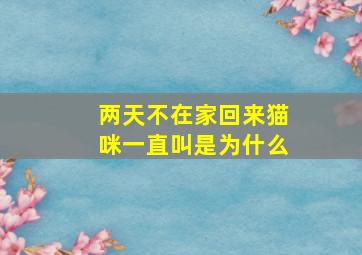 两天不在家回来猫咪一直叫是为什么