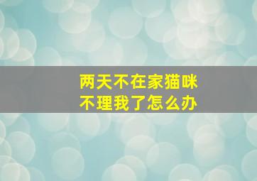 两天不在家猫咪不理我了怎么办