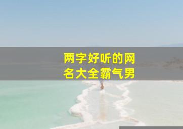 两字好听的网名大全霸气男