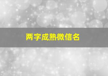 两字成熟微信名