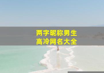 两字昵称男生高冷网名大全