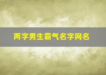 两字男生霸气名字网名