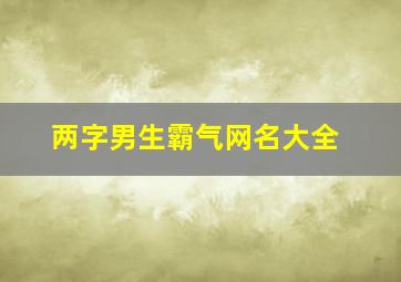 两字男生霸气网名大全