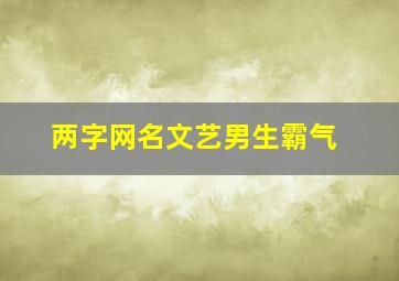 两字网名文艺男生霸气