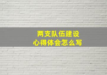 两支队伍建设心得体会怎么写