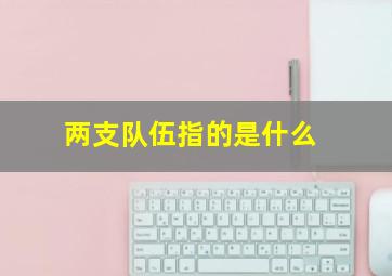 两支队伍指的是什么