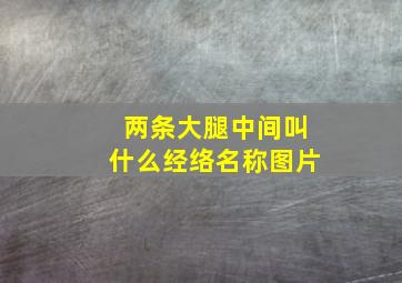 两条大腿中间叫什么经络名称图片