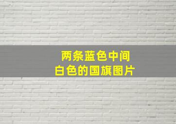 两条蓝色中间白色的国旗图片