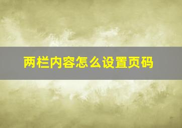 两栏内容怎么设置页码