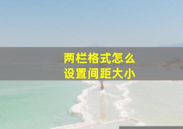 两栏格式怎么设置间距大小