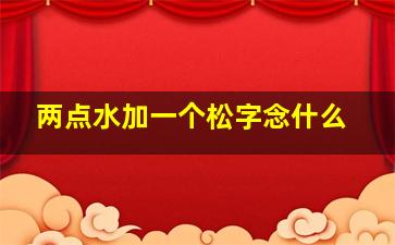 两点水加一个松字念什么