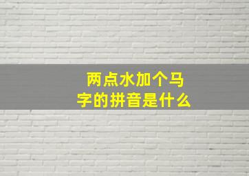 两点水加个马字的拼音是什么