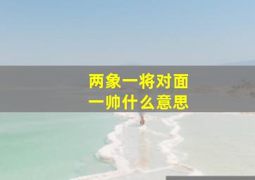 两象一将对面一帅什么意思