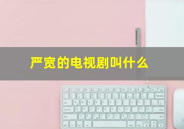 严宽的电视剧叫什么