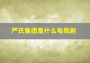 严氏集团是什么电视剧