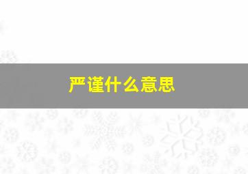 严谨什么意思