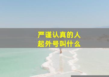 严谨认真的人起外号叫什么