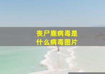 丧尸鹿病毒是什么病毒图片