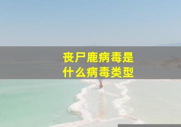 丧尸鹿病毒是什么病毒类型