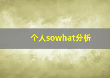 个人sowhat分析