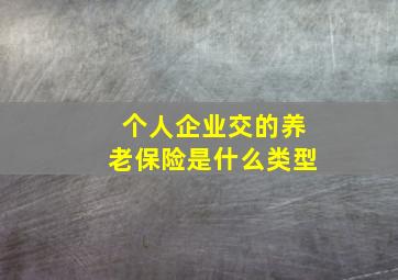 个人企业交的养老保险是什么类型